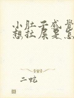 小肚子感觉下坠想拉屎是怎么回事啊