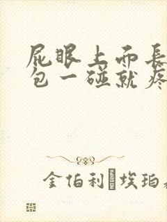 屁眼上面长了个包一碰就疼