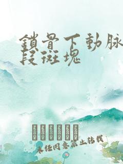 锁骨下动脉起始段斑块