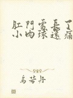 肛门处长了一个小肉球还痛怎么治