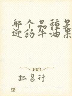 哪个品种是最欢迎的牛油果