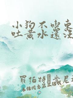 小狗不吃东西还吐黄水还没精神