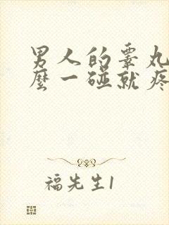 男人的睾丸为什么一碰就疼