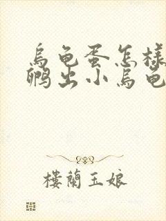 乌龟蛋怎样才能孵出小乌龟