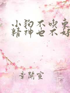 小狗不吃东西,精神也不好,还吐