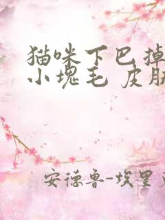 猫咪下巴掉了一小块毛 皮肤很红