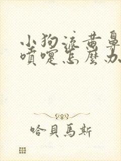 小狗流黄鼻涕打喷嚏怎么办