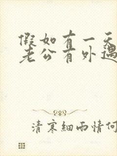 假如有一天发现老公有外遇老婆怎么办