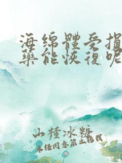 海绵体受损吃啥药能恢复呢?