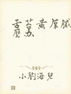 舌苔黄厚腻的怎么办