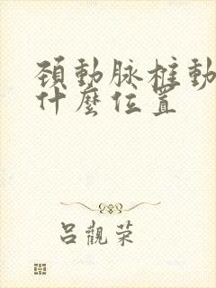 颈动脉椎动脉在什么位置