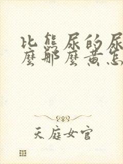 比熊尿的尿为什么那么黄怎么办