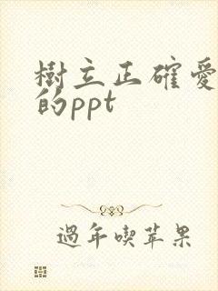 树立正确爱情观的ppt