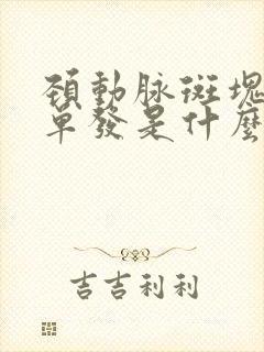 颈动脉斑块形成单发是什么意思