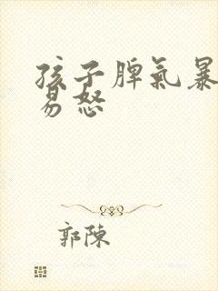 孩子脾气暴躁,易怒