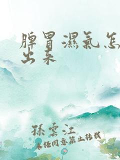 脾胃湿气怎么排出来