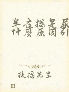 半夜总是尿频是什么原因引起的