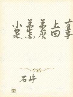 小弟弟上有裂口是怎么回事