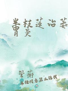 半枝莲治萎缩性胃炎