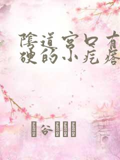 阴道宫口有个硬硬的小疙瘩