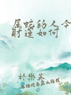 属蛇的人今天的财运如何