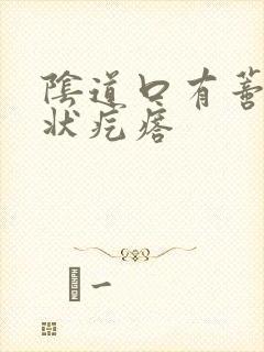 阴道口有蒂菜花状疙瘩