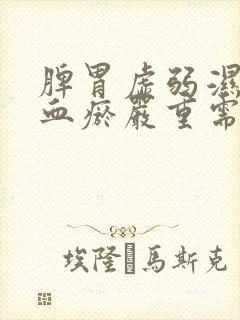 脾胃虚弱湿气重血瘀严重需要先调理哪方面