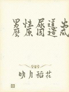 男性尿道出血什么原因造成的