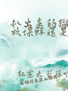 扒出来的榴莲肉放保鲜还是冷冻