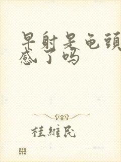 早射是龟头太敏感了吗