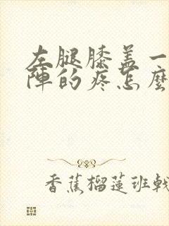 左腿膝盖一阵一阵的疼怎么回事