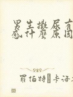 男生撒尿有刺痛感什么原因