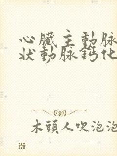 心脏主动脉及冠状动脉钙化