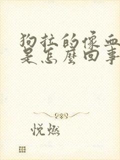 狗拉的像血一样是怎么回事