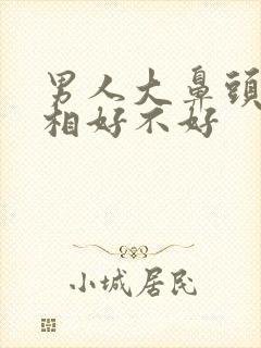 男人大鼻头 面相好不好