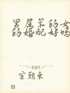 男属羊的女属兔的婚配好吗