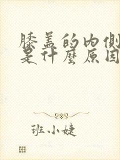 膝盖的内侧疼痛是什么原因