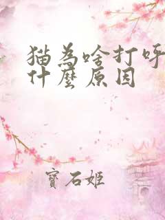 猫为啥打呼噜是什么原因