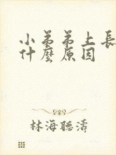 小弟弟上长水泡什么原因