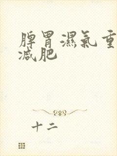 脾胃湿气重怎么减肥