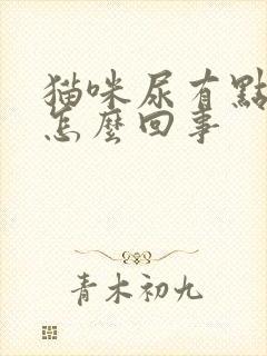 猫咪尿有点红是怎么回事