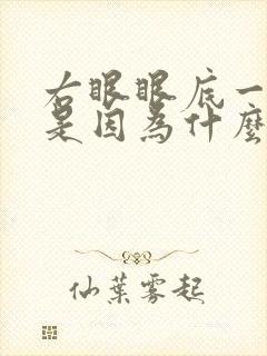 右眼眼底一直跳是因为什么原因