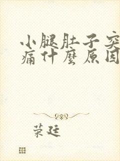 小腿肚子突然疼痛什么原因引起的