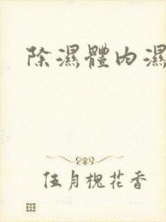 除湿体内湿气重