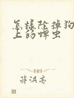 怎样除掉狗狗身上的蜱虫