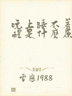 晚上睡不着容易醒是什么原因