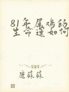 81年属鸡的一生命运如何呢