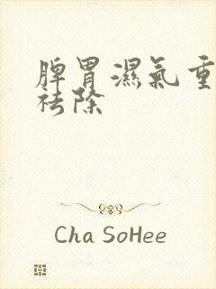 脾胃湿气重怎样祛除