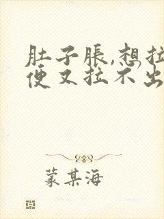 肚子胀,想拉大便又拉不出来,想吐