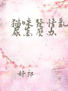 猫咪发情乱拉乱尿怎么办